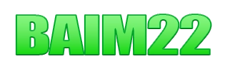 Logo BAIM22